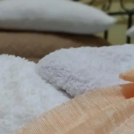 Baal Konukevi Görice